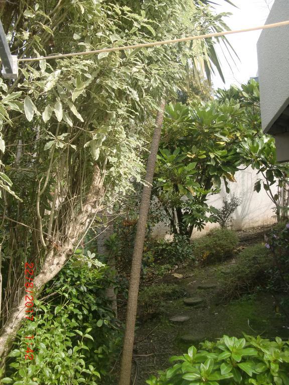 The Haven B & B Окленд Экстерьер фото